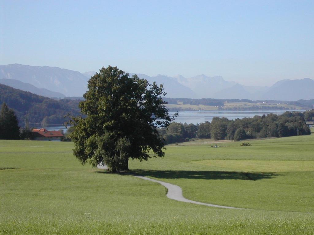 Ferienhotel Herzog Neumarkt am Wallersee Eksteriør billede