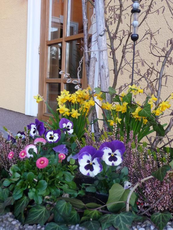 Ferienhotel Herzog Neumarkt am Wallersee Eksteriør billede